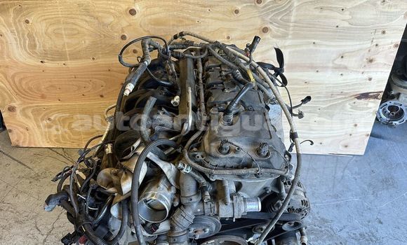 Buy FORD F150 5.0L in St John's in Antigua Buy FORD F150 5.0L in St John's in Antigua