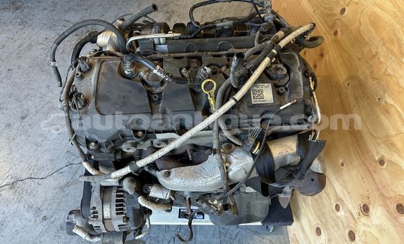 Buy FORD F150 5.0L in St John's in Antigua Buy FORD F150 5.0L in St John's in Antigua