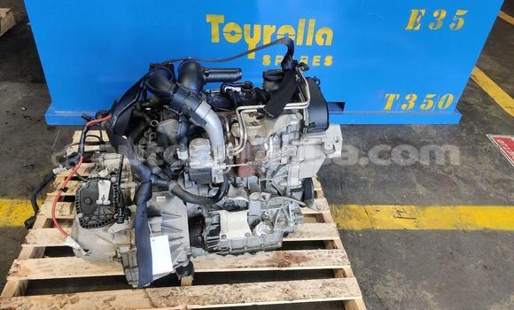 Buy Volkswagen Golf Turbo in Bolands in Antigua Buy Volkswagen Golf Turbo in Bolands in Antigua