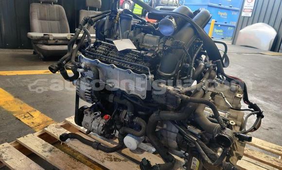 Buy Volkswagen Golf Turbo in Bolands in Antigua Buy Volkswagen Golf Turbo in Bolands in Antigua