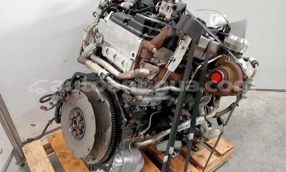 Buy ISUZU DMAX 3.0 in Parham in Antigua Buy ISUZU DMAX 3.0 in Parham in Antigua