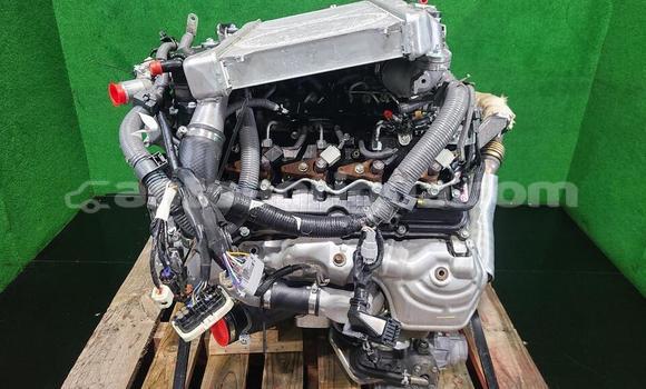 Buy 2000 in St John's in Antigua Buy 2000 in St John's in Antigua