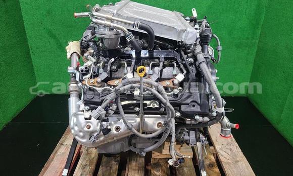 Buy 2000 in St John's in Antigua Buy 2000 in St John's in Antigua