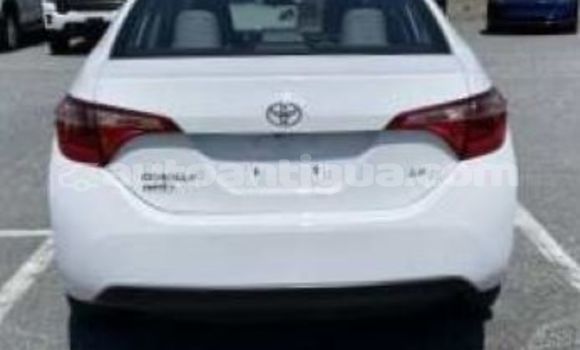 Buy Used Toyota Corolla White Car in Cedar Grove in Antigua Buy Used Toyota Corolla White Car in Cedar Grove in Antigua