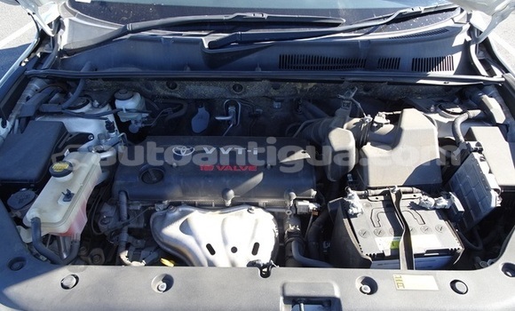 Buy Used Toyota RAV4 White Car in All Saints in Antigua Buy Used Toyota RAV4 White Car in All Saints in Antigua