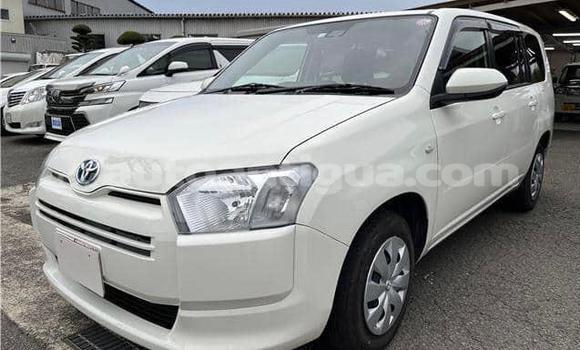 Buy Used Toyota Probox White Car in St John's in Antigua Buy Used Toyota Probox White Car in St John's in Antigua