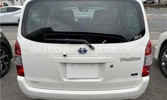 Buy Used Toyota Probox White Car in St John's in Antigua Buy Used Toyota Probox White Car in St John's in Antigua