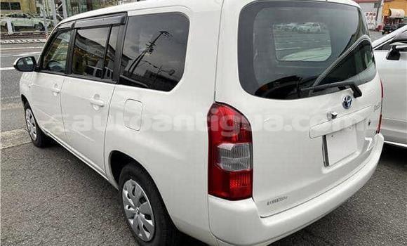 Buy Used Toyota Probox White Car in St John's in Antigua Buy Used Toyota Probox White Car in St John's in Antigua