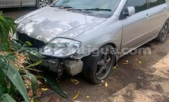 Buy Used Toyota Corolla Other Car in All Saints in Antigua Buy Used Toyota Corolla Other Car in All Saints in Antigua