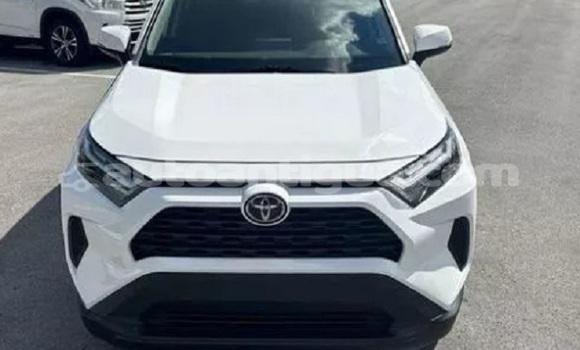 Buy Used Toyota RAV4 White Car in Potters Village in Antigua
