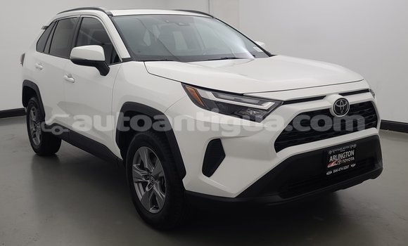 Buy Used Toyota RAV4 White Car in Cedar Grove in Antigua