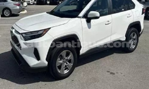 Buy Used Toyota RAV4 White Car in Carlisle in Antigua