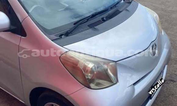 Buy Used Toyota WiLL Other Car in All Saints in Antigua