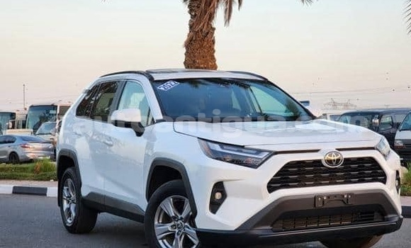 Buy Used Toyota RAV4 White Car in St John's in Antigua