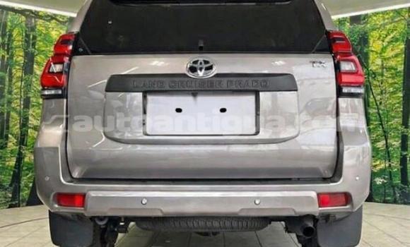 Buy Used Toyota Land Cruiser Prado Black Car in St John's in Antigua Buy Used Toyota Land Cruiser Prado Black Car in St John's in Antigua