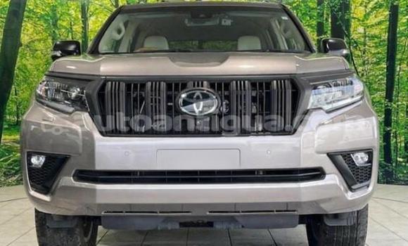 Buy Used Toyota Land Cruiser Prado Black Car in St John's in Antigua Buy Used Toyota Land Cruiser Prado Black Car in St John's in Antigua