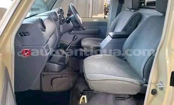 Buy Used Toyota Land Cruiser Beige Car in St John's in Antigua Buy Used Toyota Land Cruiser Beige Car in St John's in Antigua