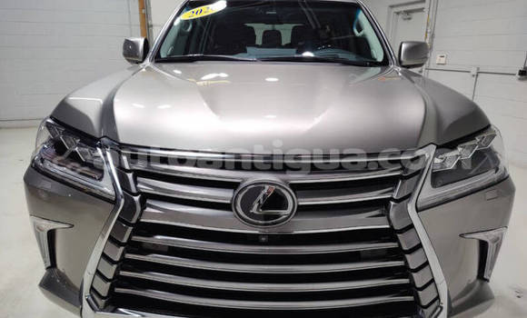 Buy Used Lexus LX 570 Silver Car in Codrington in Antigua