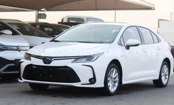 Buy Used Toyota Corolla White Car in St John's in Antigua