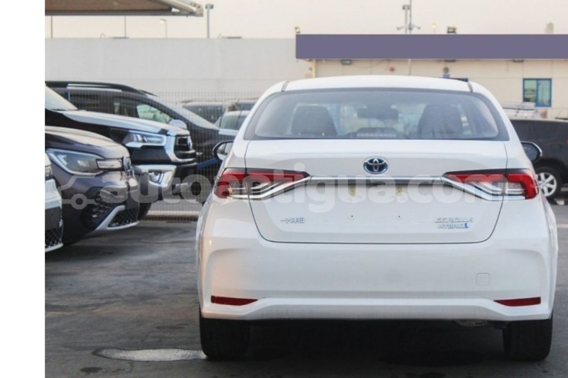 Big with watermark toyota corolla antigua st john s 4709