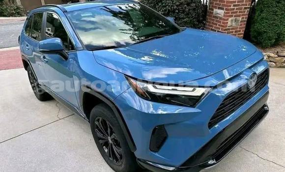 Buy Used Toyota RAV4 Blue Car in St John's in Antigua