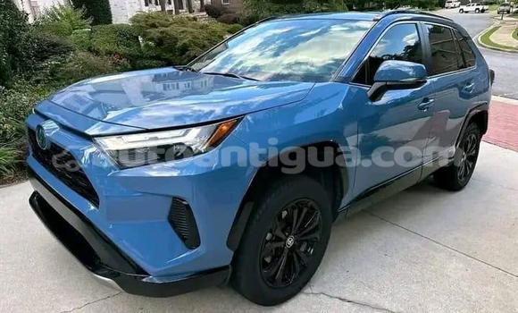 Buy Used Toyota RAV4 Blue Car in St John's in Antigua Buy Used Toyota RAV4 Blue Car in St John's in Antigua