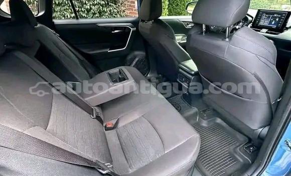 Buy Used Toyota RAV4 Blue Car in St John's in Antigua Buy Used Toyota RAV4 Blue Car in St John's in Antigua