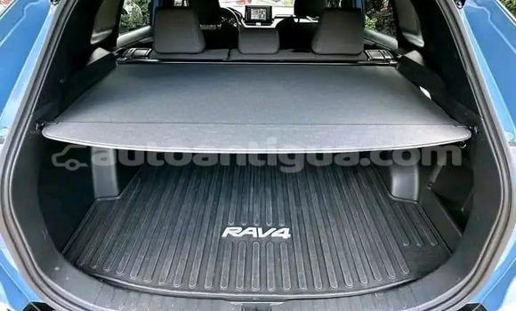 Buy Used Toyota RAV4 Blue Car in St John's in Antigua Buy Used Toyota RAV4 Blue Car in St John's in Antigua