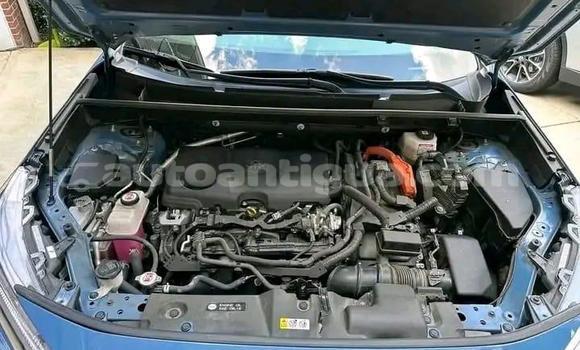 Buy Used Toyota RAV4 Blue Car in St John's in Antigua Buy Used Toyota RAV4 Blue Car in St John's in Antigua