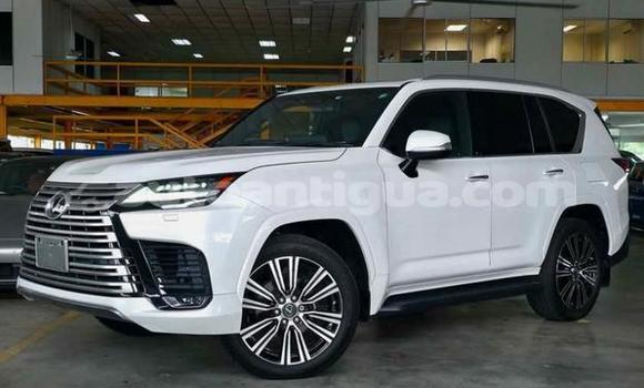 Buy Used Lexus LX White Car in St John's in Antigua