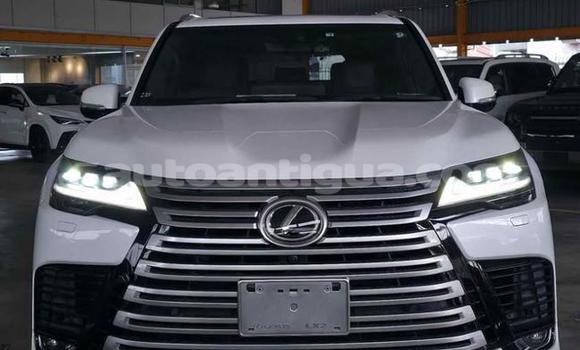 Buy Used Lexus LX White Car in St John's in Antigua Buy Used Lexus LX White Car in St John's in Antigua
