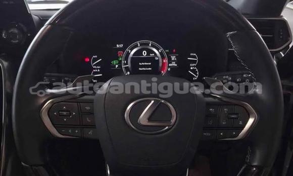 Buy Used Lexus LX White Car in St John's in Antigua Buy Used Lexus LX White Car in St John's in Antigua
