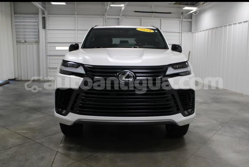 Big with watermark lexus lx antigua all saints 4715