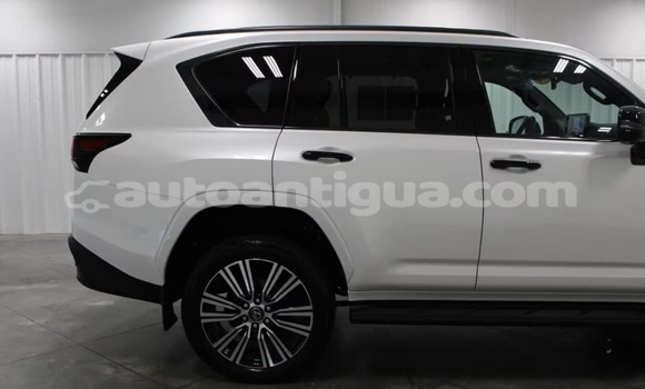 Buy Used Lexus LX White Car in All Saints in Antigua Buy Used Lexus LX White Car in All Saints in Antigua
