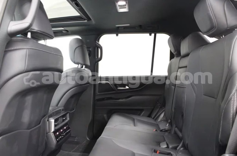 Big with watermark lexus lx antigua all saints 4715