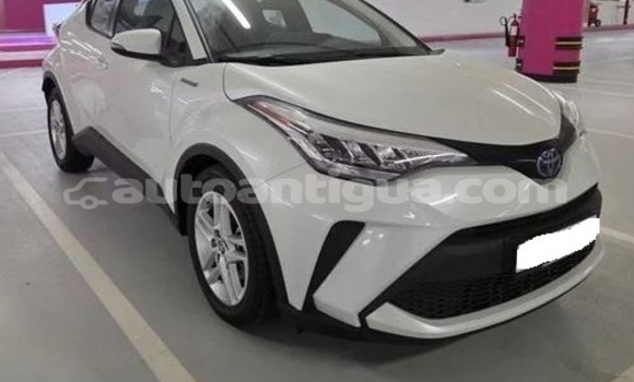 Buy Used Toyota C-HR White Car in St John's in Antigua