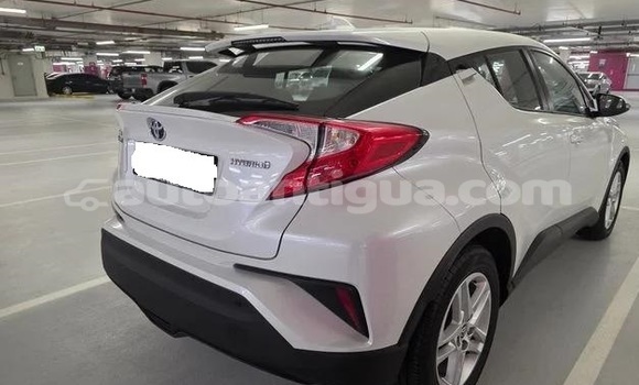 Buy Used Toyota C-HR White Car in St John's in Antigua Buy Used Toyota C-HR White Car in St John's in Antigua