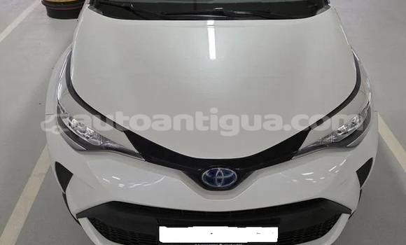 Buy Used Toyota C-HR White Car in St John's in Antigua Buy Used Toyota C-HR White Car in St John's in Antigua
