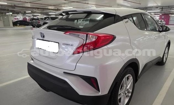 Buy Used Toyota C-HR White Car in St John's in Antigua Buy Used Toyota C-HR White Car in St John's in Antigua
