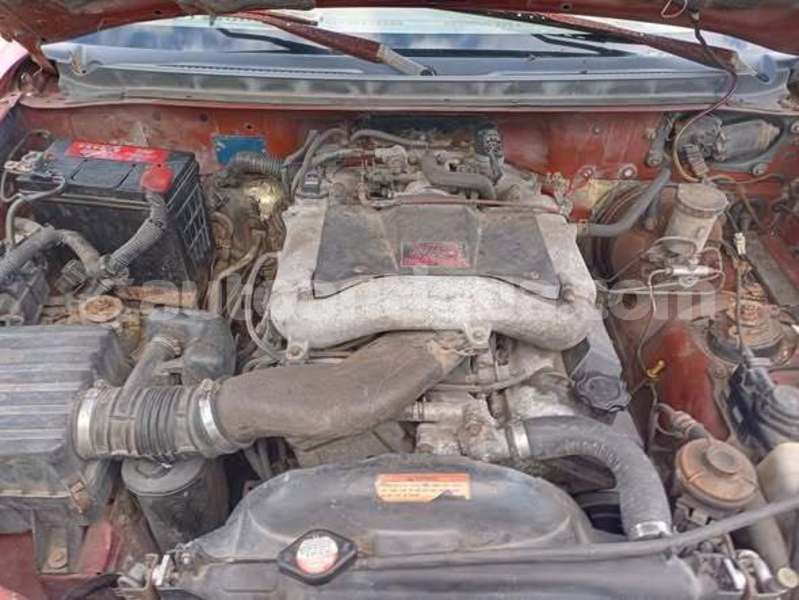 Big with watermark renaissance tropica roadster antigua all saints 4717