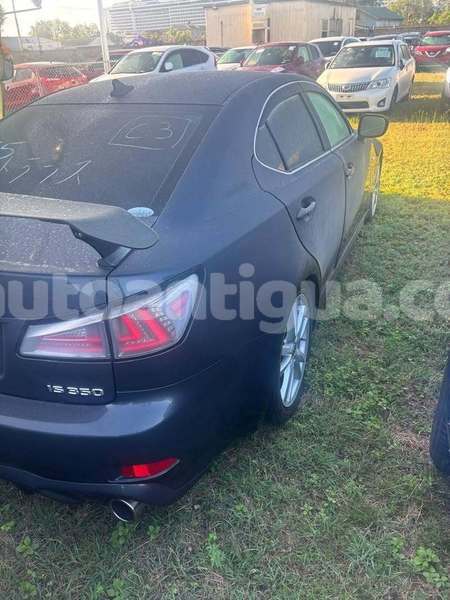 Big with watermark lexus is antigua all saints 4721