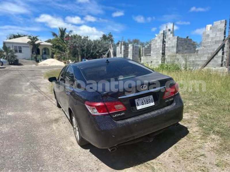 Big with watermark lexus es antigua all saints 4723