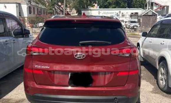 Buy Used Hyundai Tucson Other Car in All Saints in Antigua Buy Used Hyundai Tucson Other Car in All Saints in Antigua