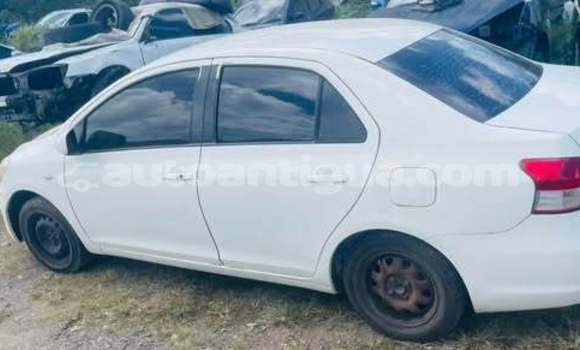Buy Used Toyota Belta Other Car in All Saints in Antigua Buy Used Toyota Belta Other Car in All Saints in Antigua