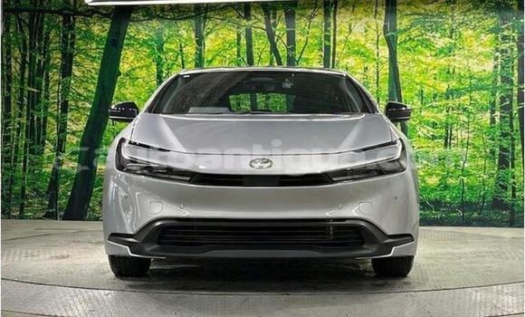 Buy Used Toyota Prius Silver Car in St John's in Antigua Buy Used Toyota Prius Silver Car in St John's in Antigua