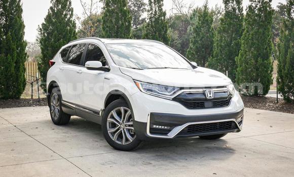 Buy Used Honda CR–V White Car in St John's in Antigua