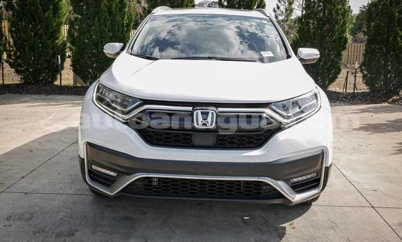 Buy Used Honda CR–V White Car in St John's in Antigua Buy Used Honda CR–V White Car in St John's in Antigua