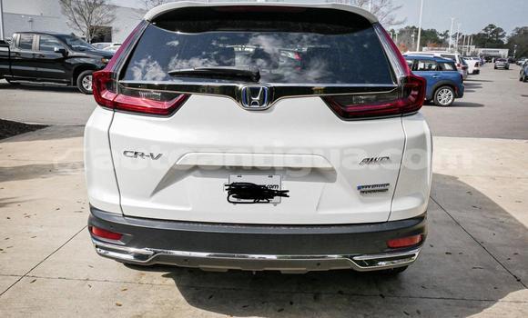 Buy Used Honda CR–V White Car in St John's in Antigua Buy Used Honda CR–V White Car in St John's in Antigua