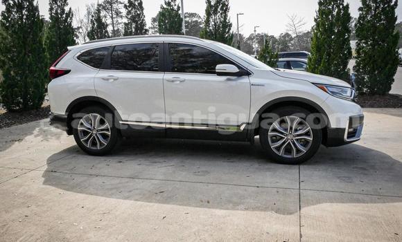 Buy Used Honda CR–V White Car in St John's in Antigua Buy Used Honda CR–V White Car in St John's in Antigua