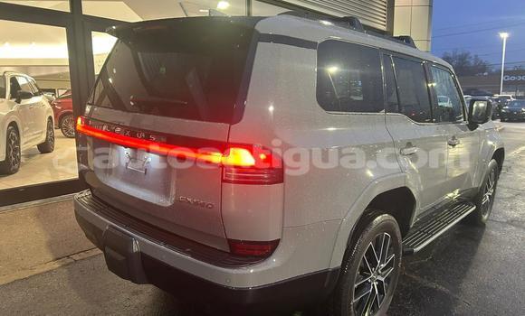 Buy Used Lexus GX White Car in St John's in Antigua Buy Used Lexus GX White Car in St John's in Antigua